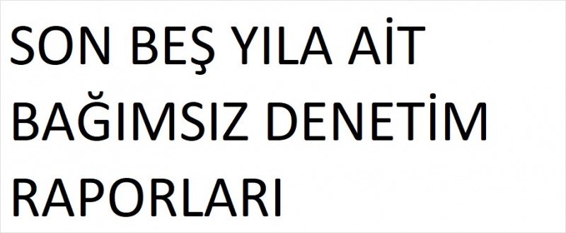Bağımsız Denetim Raporları